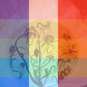 Meet your Posher, Deb